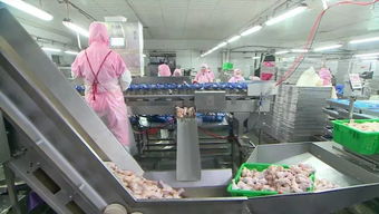 慶云和美食品銷售額突破2億元，產(chǎn)業(yè)興旺助力周邊就業(yè)改善